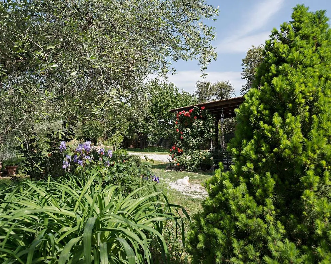 I Glicini Appartamento فندق مبيت وإفطار